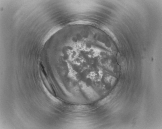 X0000088631425200706151906