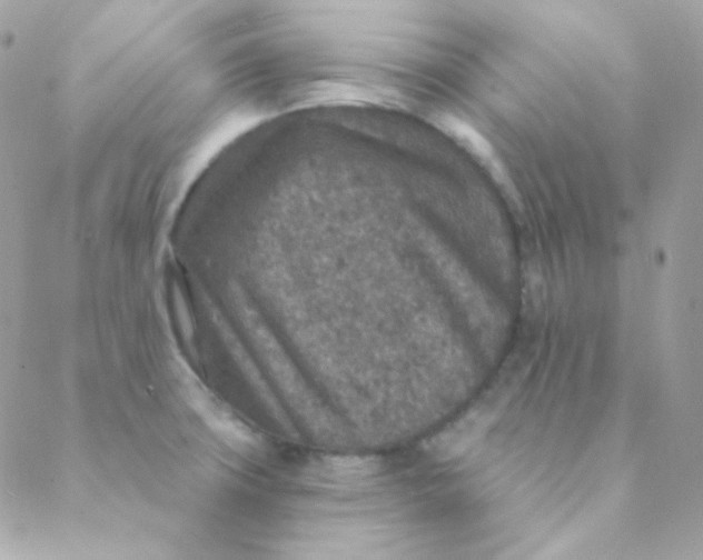 X0000088631427200706151906