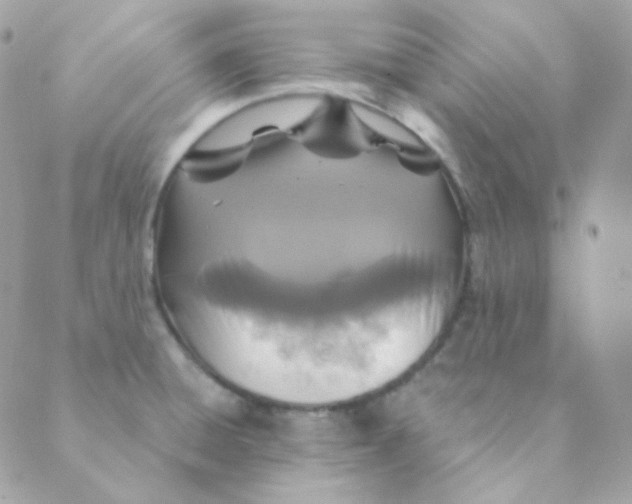 X0000088631428200706151906