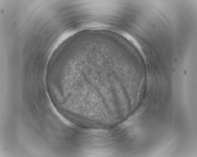 X0000088631429200706151906
