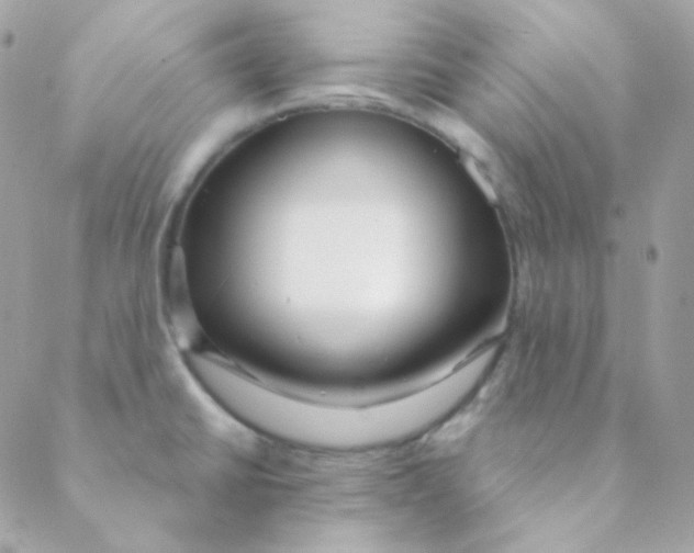 X0000088631430200706151906