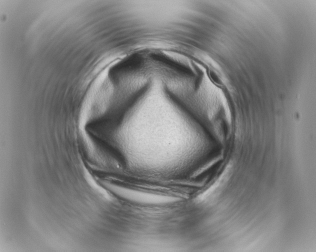 X0000088631433200706151906