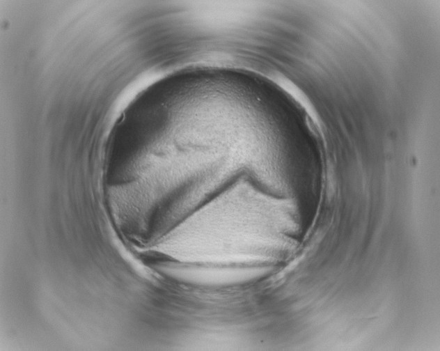 X0000088631437200706151906