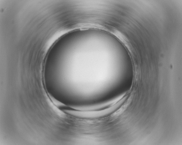 X0000088631438200706151906