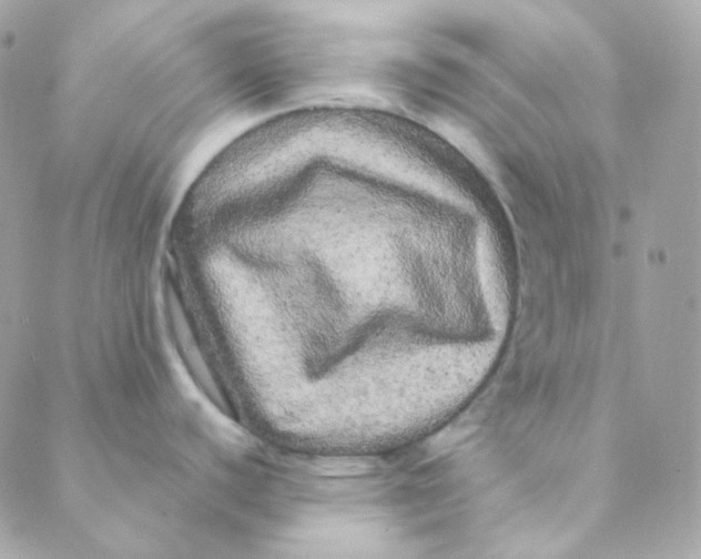 X0000088631440200706151906
