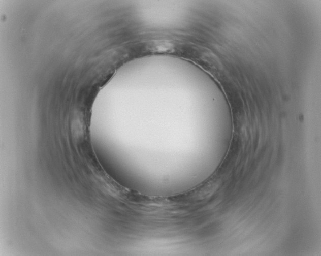 X0000088631442200706151905