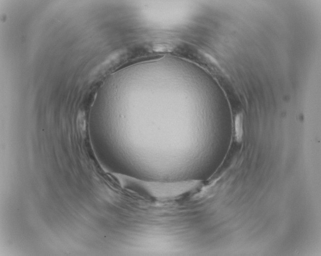 X0000088631443200706151905
