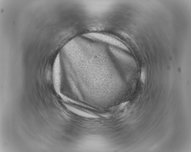 X0000088631444200706151905