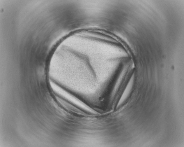 X0000088631452200706151905
