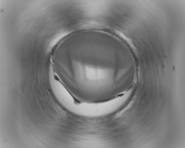 X0000088631453200706151905