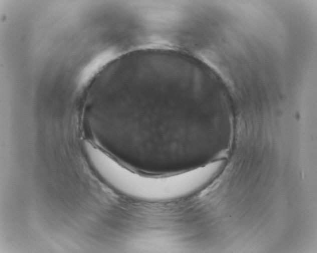 X0000088631455200706151905