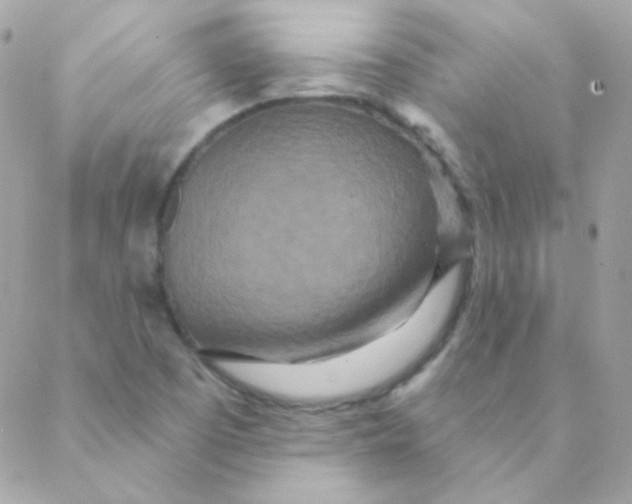 X0000088631457200706151905