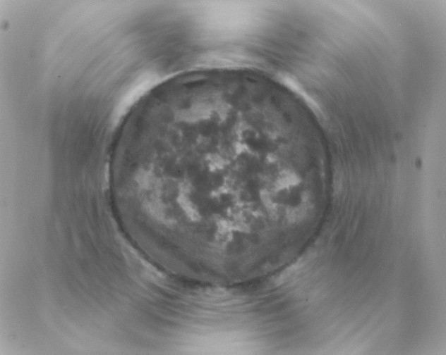 X0000088631459200706151905