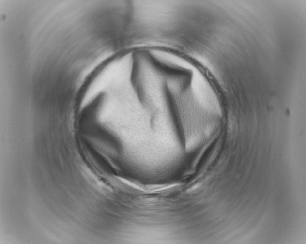 X0000088631460200706151905