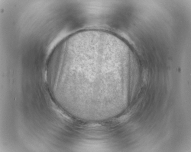 X0000088631462200706151905