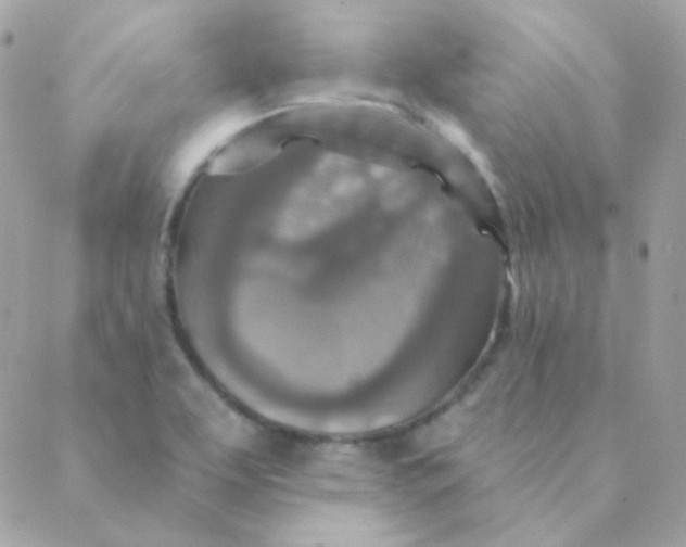 X0000088631463200706151905