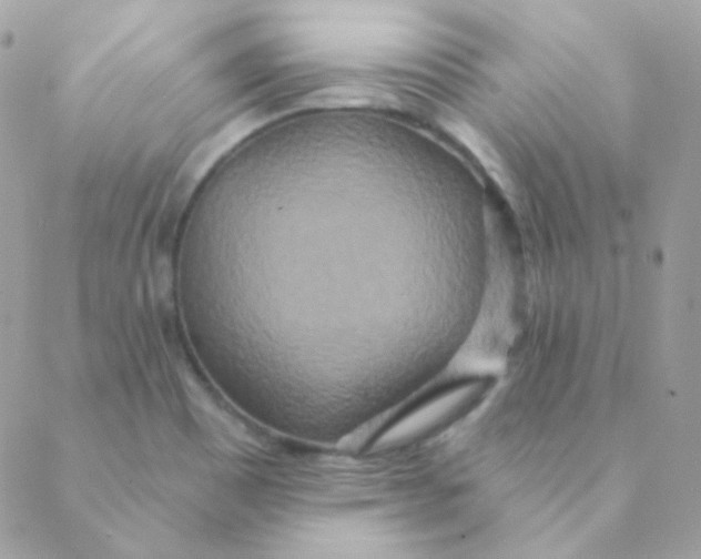 X0000088631465200706151905