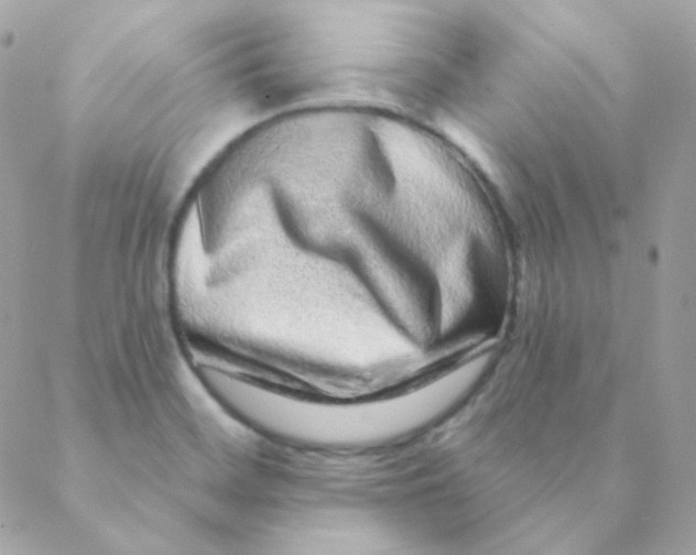 X0000088631468200706151905