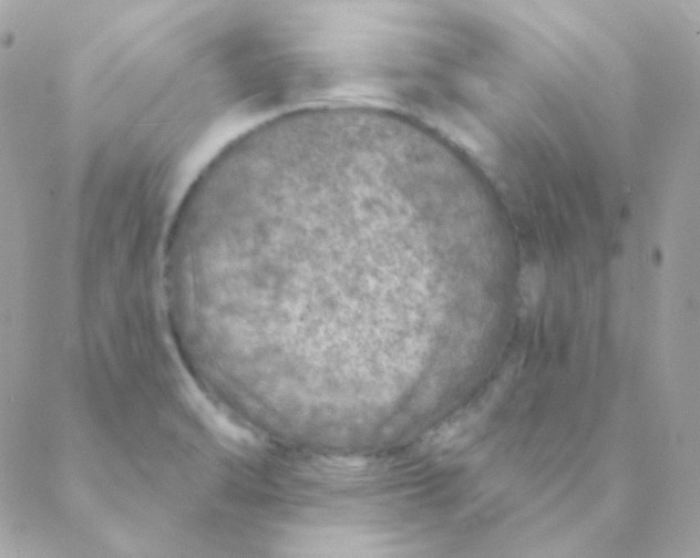 X0000088631470200706151905