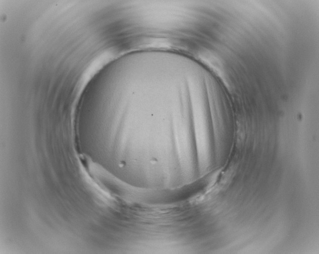 X0000088631475200706151905