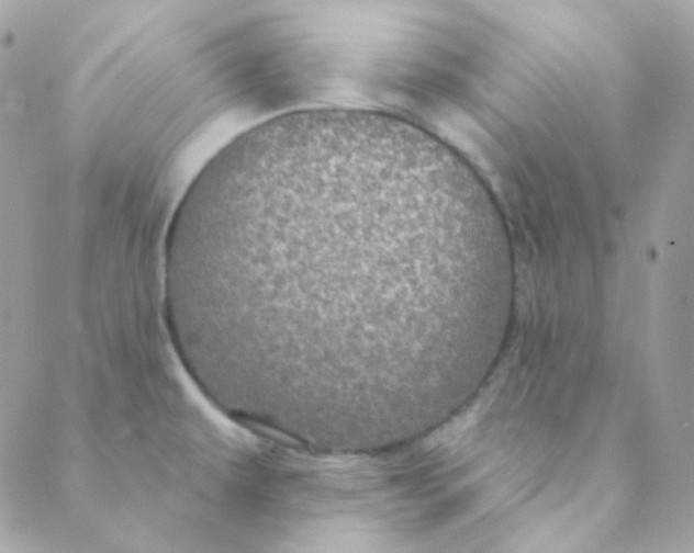 X0000088631479200706151905