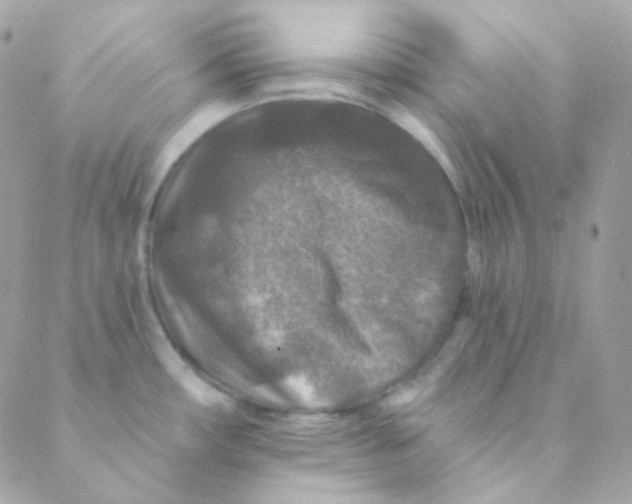 X0000088631482200706151905