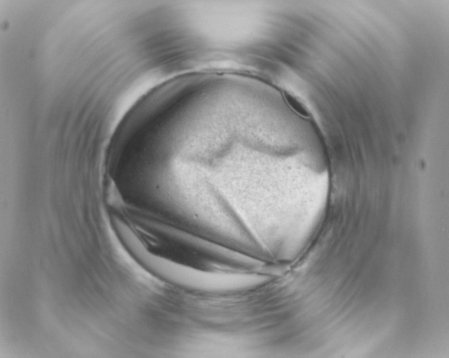 X0000088631483200706151905