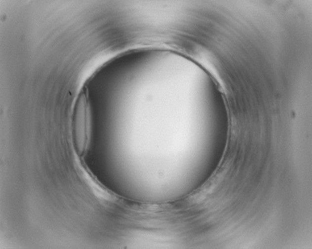 X0000088631485200706151905