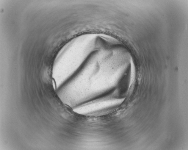X0000088631490200706151904
