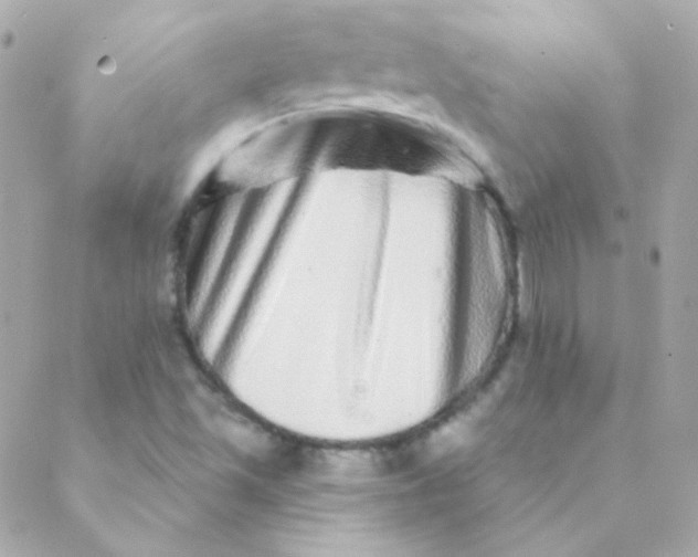X0000088631501200706151904