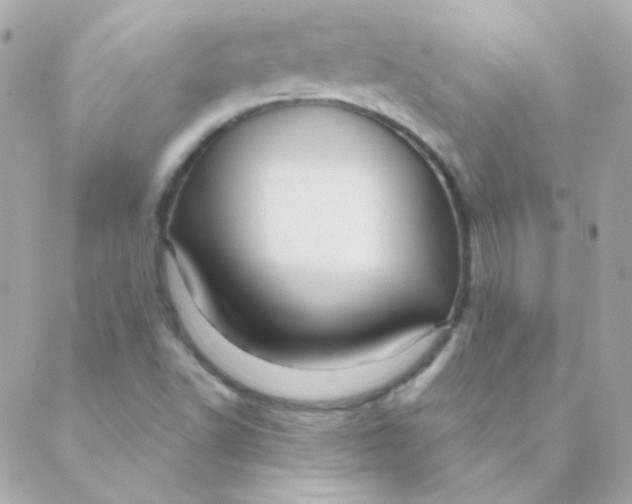 X0000088631502200706151904