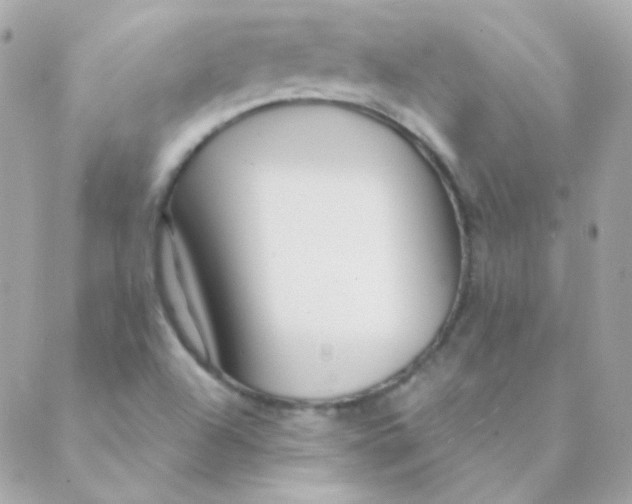 X0000088631504200706151904