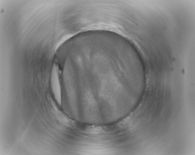 X0000088631505200706151904