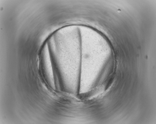 X0000088631509200706151904