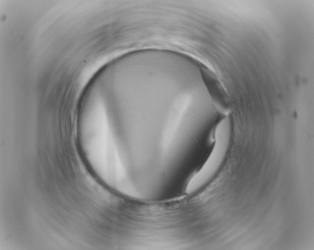 X0000088631515200706151904