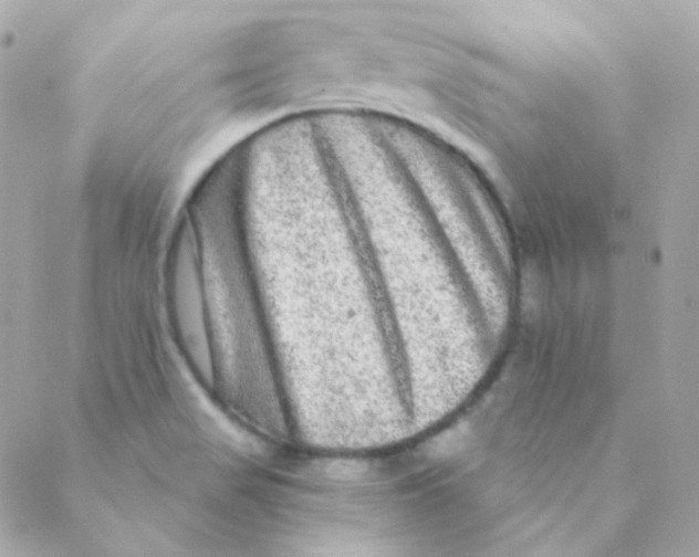 X0000088631517200706151904