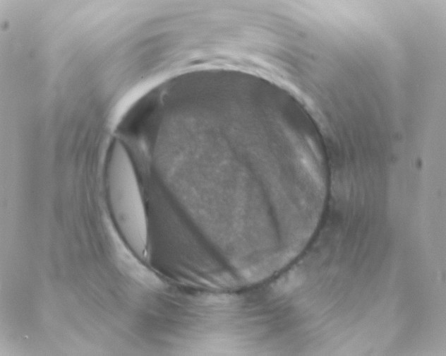 X0000088631522200706151904