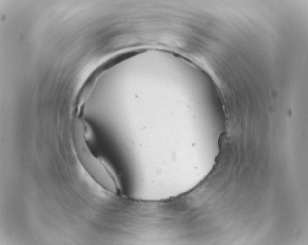 X0000088631532200706151904