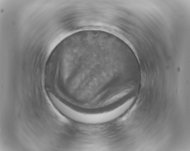 X0000088631533200706151904