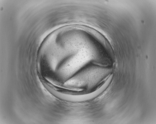 X0000088631534200706151904