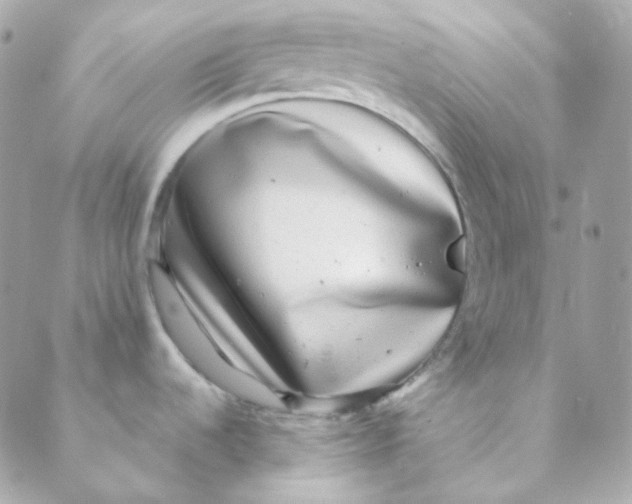 X0000088631536200706151904