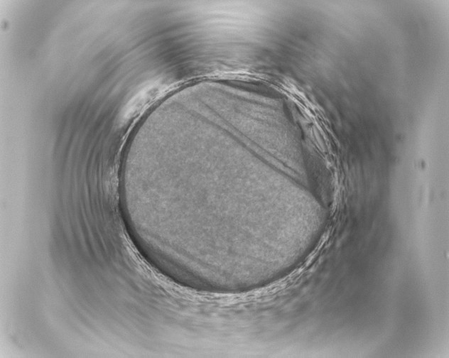 X0000088630002200706221532