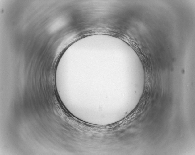 X0000088630004200706221532
