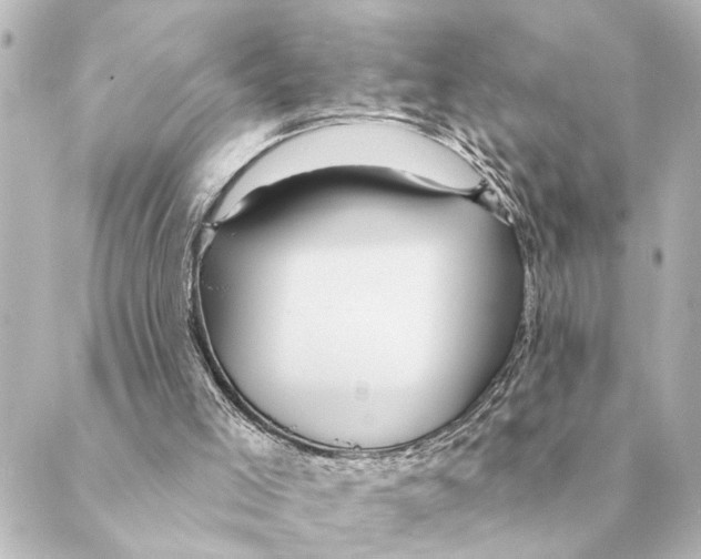 X0000088630005200706221532