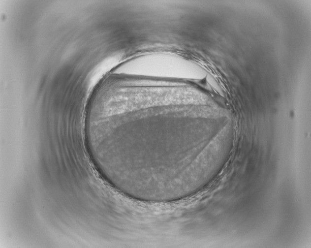 X0000088630006200706221532