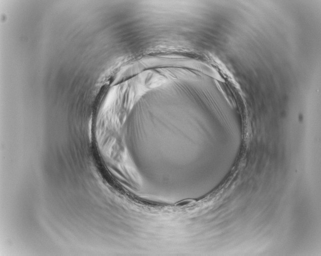 X0000088630019200706221531