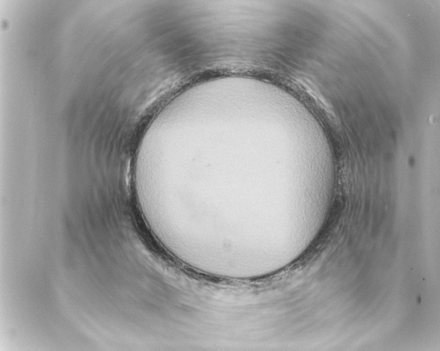 X0000088630024200706221531