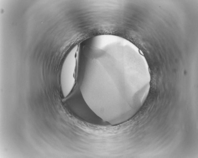 X0000088630027200706221531