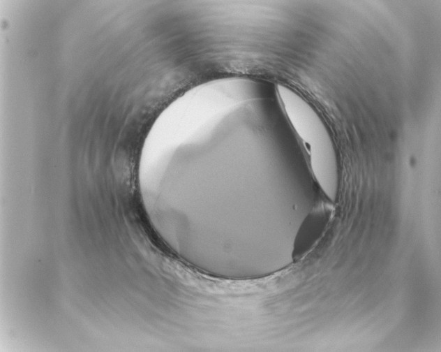 X0000088630031200706221531