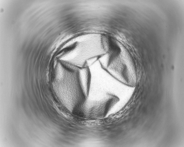 X0000088630050200706221530